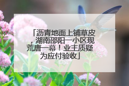 沥青地面上铺草皮，湖南邵阳一小区现荒唐一幕！业主质疑为应付验收