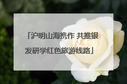 沪明山海携作 共推银发研学红色旅游线路