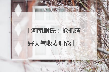 河南尉氏：抢抓晴好天气收麦归仓