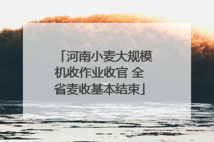 河南小麦大规模机收作业收官 全省麦收基本结束