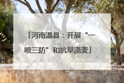 河南温县：开展“一喷三防”和抗旱浇麦