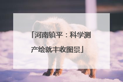河南镇平：科学测产绘就丰收图景