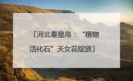 河北秦皇岛：“植物活化石”天女花绽放