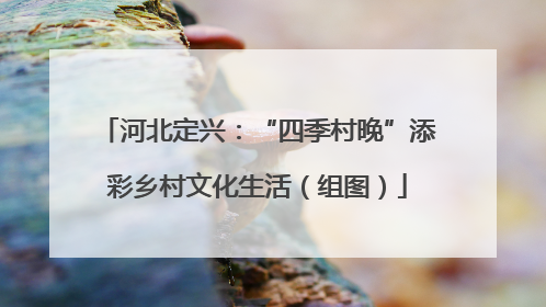 河北定兴：“四季村晚”添彩乡村文化生活（组图）