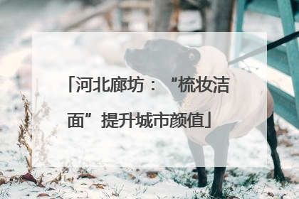河北廊坊：“梳妆洁面”提升城市颜值