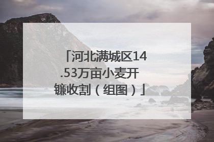 河北满城区14.53万亩小麦开镰收割（组图）