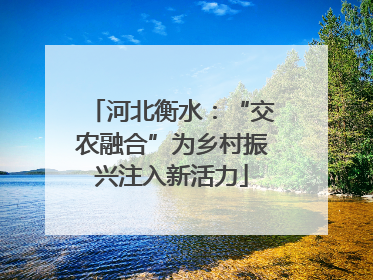 河北衡水：“交农融合”为乡村振兴注入新活力