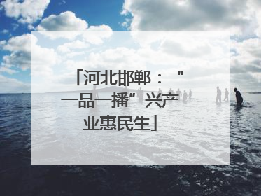 河北邯郸：“一品一播”兴产业惠民生