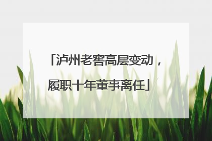 泸州老窖高层变动，履职十年董事离任