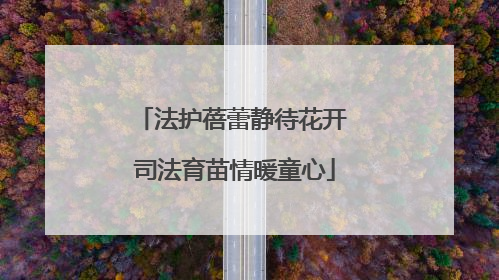 法护蓓蕾静待花开 司法育苗情暖童心