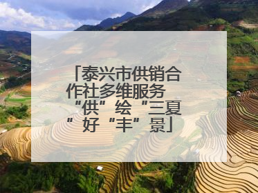 泰兴市供销合作社多维服务 “供”绘“三夏”好“丰”景