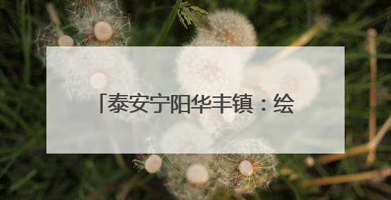 泰安宁阳华丰镇：绘就人居环境新画卷 书写乡村振兴新篇章