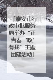 泰安市行政审批服务局举办“正青春‘政’有我”主题团建活动