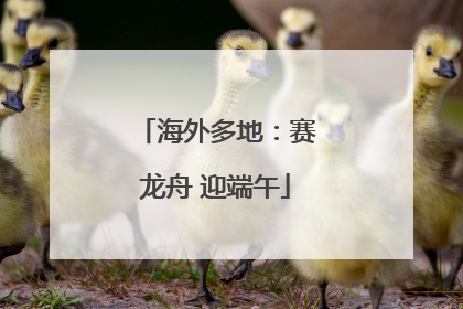 海外多地：赛龙舟 迎端午