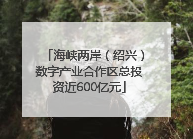 海峡两岸（绍兴）数字产业合作区总投资近600亿元