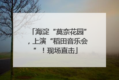 海淀“莫奈花园”，上演“稻田音乐会”！现场直击