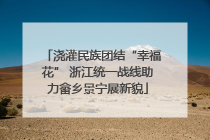 浇灌民族团结“幸福花” 浙江统一战线助力畲乡景宁展新貌