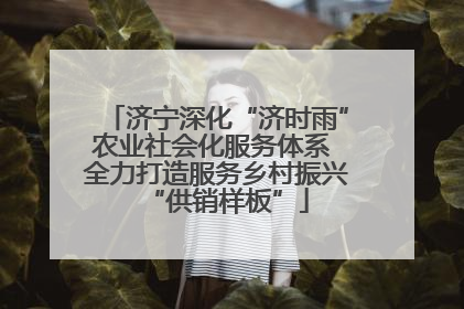 济宁深化“济时雨”农业社会化服务体系 全力打造服务乡村振兴“供销样板”