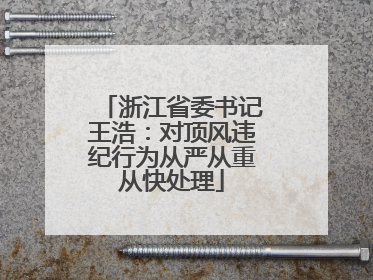 浙江省委书记王浩：对顶风违纪行为从严从重从快处理