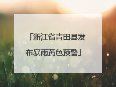 浙江省青田县发布暴雨黄色预警