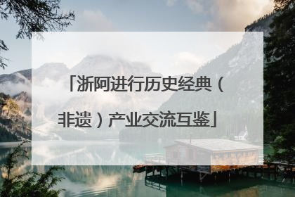 浙阿进行历史经典（非遗）产业交流互鉴
