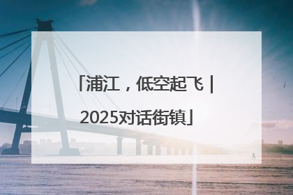 浦江，低空起飞｜2025对话街镇