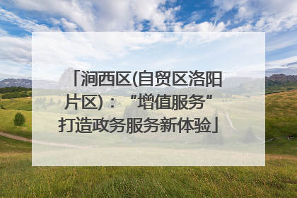 涧西区(自贸区洛阳片区)：“增值服务”打造政务服务新体验