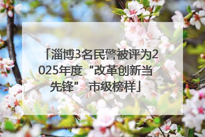 淄博3名民警被评为2025年度“改革创新当先锋” 市级榜样