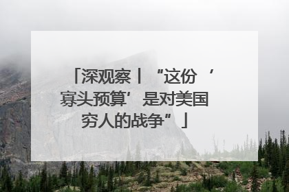 深观察丨“这份‘寡头预算’是对美国穷人的战争”