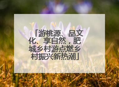 游桃源、品文化、享自然，肥城乡村游点燃乡村振兴新热潮