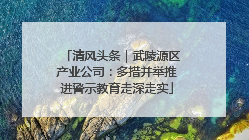 清风头条｜武陵源区产业公司：多措并举推进警示教育走深走实