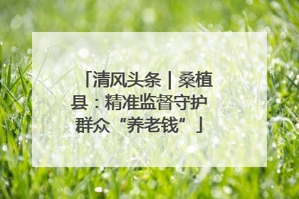 清风头条｜桑植县：精准监督守护群众“养老钱”