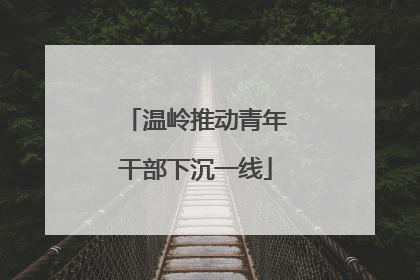 温岭推动青年干部下沉一线