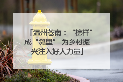 温州苍南：“榜样”成“邻里” 为乡村振兴注入好人力量