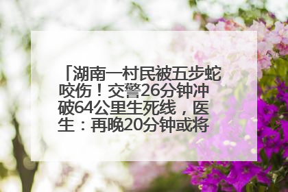 湖南一村民被五步蛇咬伤！交警26分钟冲破64公里生死线，医生：再晚20分钟或将呼吸肌麻痹