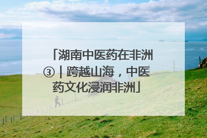 湖南中医药在非洲③｜跨越山海，中医药文化浸润非洲