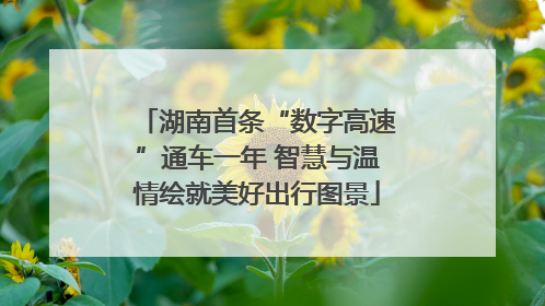 湖南首条“数字高速”通车一年 智慧与温情绘就美好出行图景