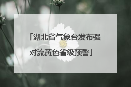 湖北省气象台发布强对流黄色省级预警