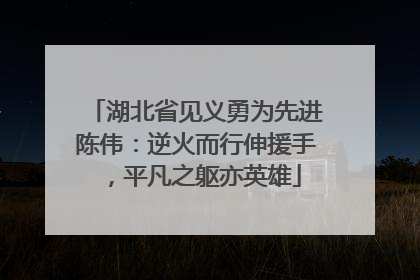 湖北省见义勇为先进陈伟：逆火而行伸援手，平凡之躯亦英雄
