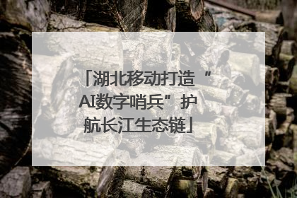 湖北移动打造“AI数字哨兵”护航长江生态链