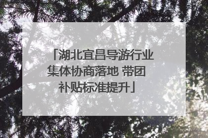 湖北宜昌导游行业集体协商落地 带团补贴标准提升
