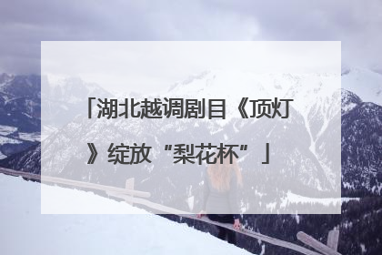湖北越调剧目《顶灯》绽放“梨花杯”
