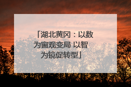 湖北黄冈：以数为窗观变局 以智为镜促转型