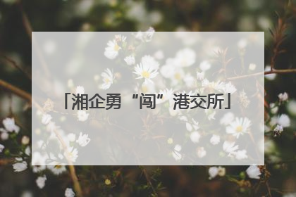 湘企勇“闯”港交所