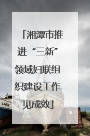 湘潭市推进“三新”领域妇联组织建设工作见成效