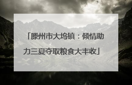 滕州市大坞镇：倾情助力三夏夺取粮食大丰收