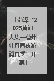 菏泽“2025黄河大集—曹州牡丹园夜游消夏季”开幕