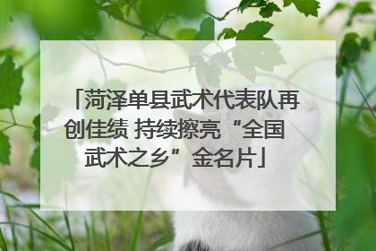 菏泽单县武术代表队再创佳绩 持续擦亮“全国武术之乡”金名片