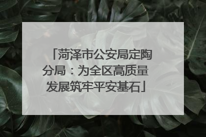 菏泽市公安局定陶分局：为全区高质量发展筑牢平安基石