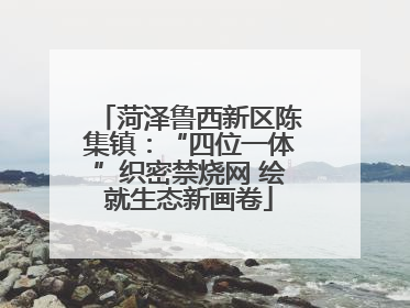 菏泽鲁西新区陈集镇：“四位一体”织密禁烧网 绘就生态新画卷